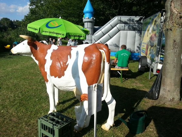 Teichfest in Sierndorf