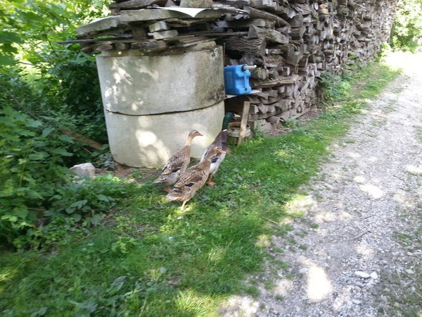 Genussausflug Steiermark