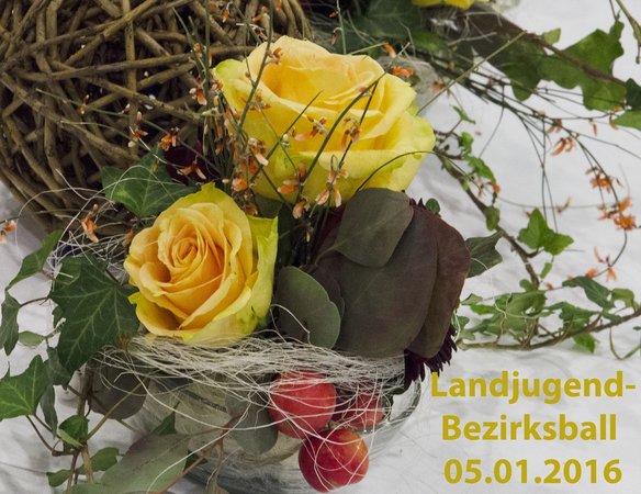 58. Bezirksball - Sonstige Fotos